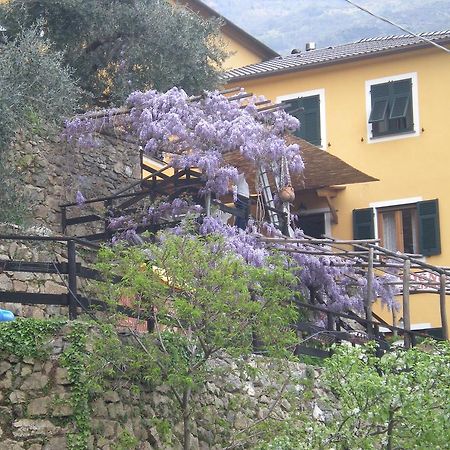 Agriturismo Il Sogno Lorsica Exterior foto